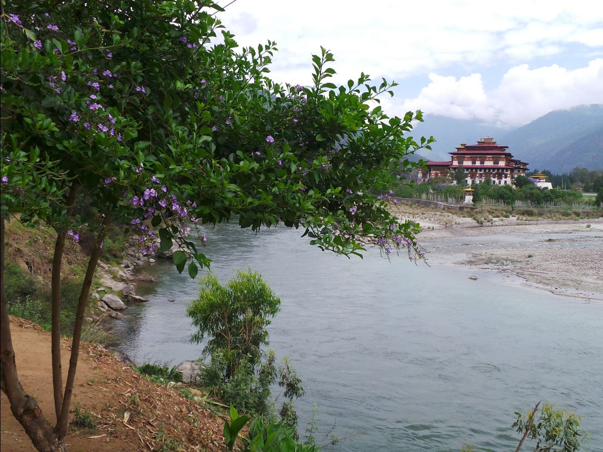 Punakha Dzong01